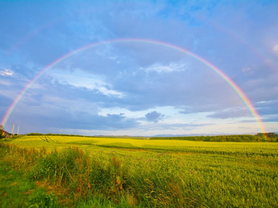 green grass field under white clouds and rainbow