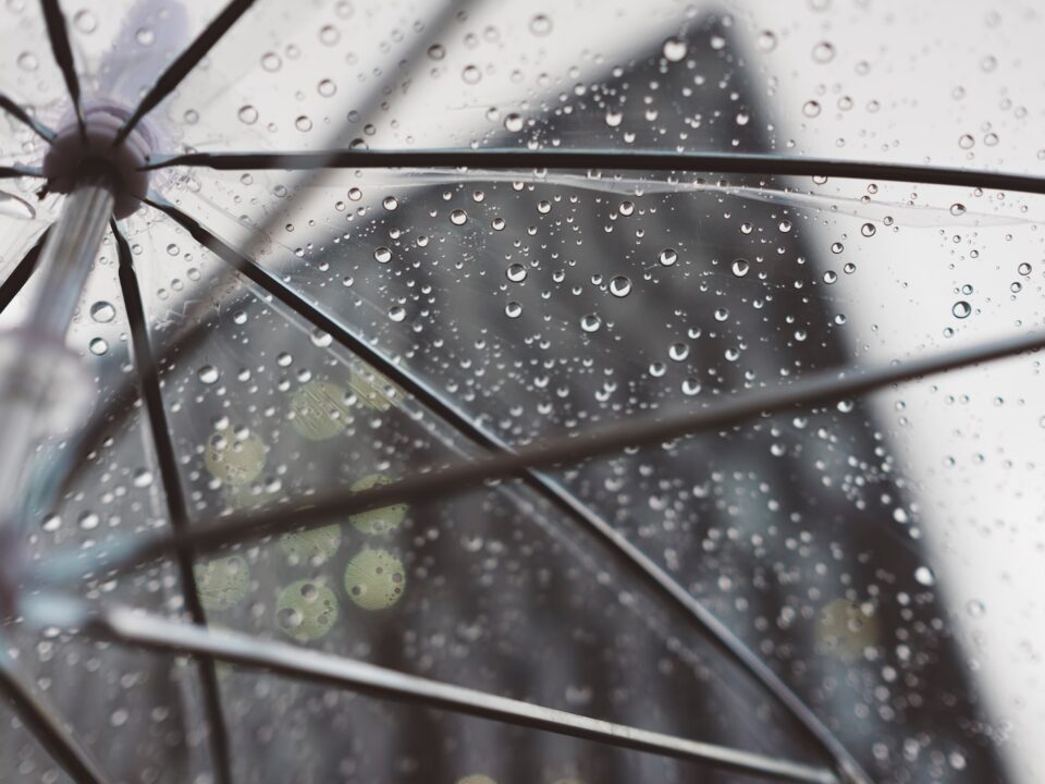 clear umbrella with water dews