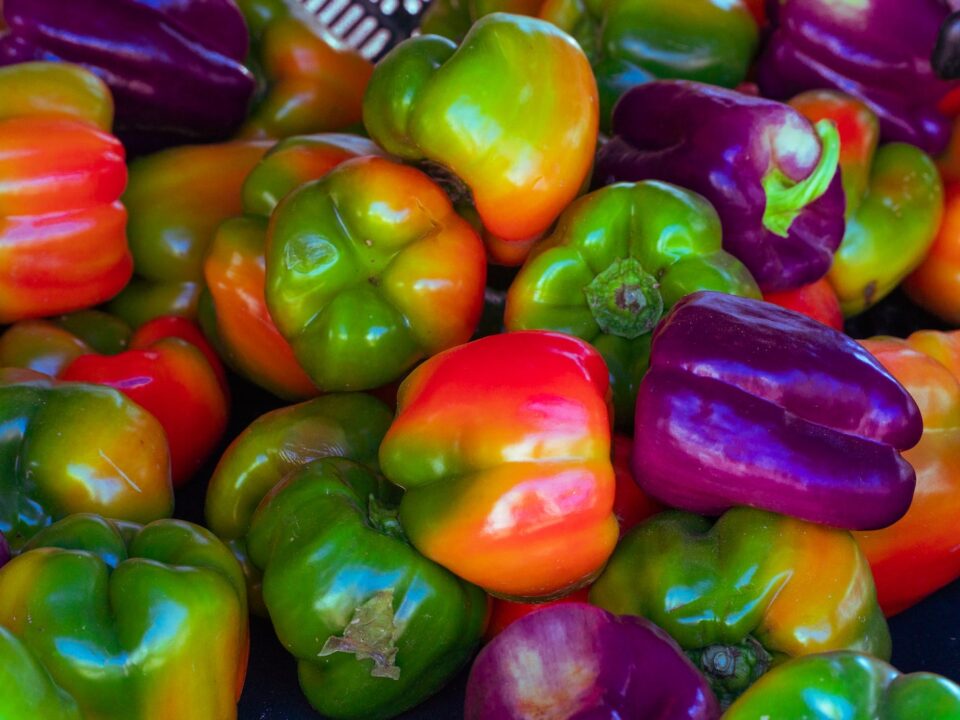 red and green bell peppers