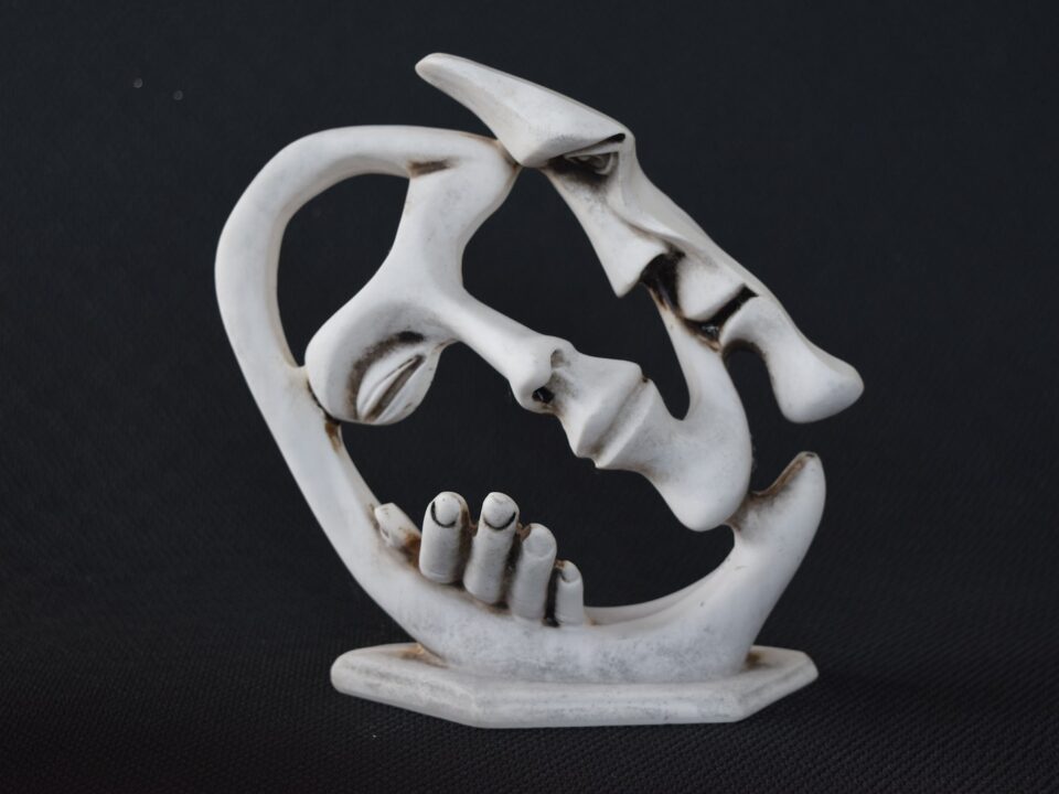 white animal skull on black textile