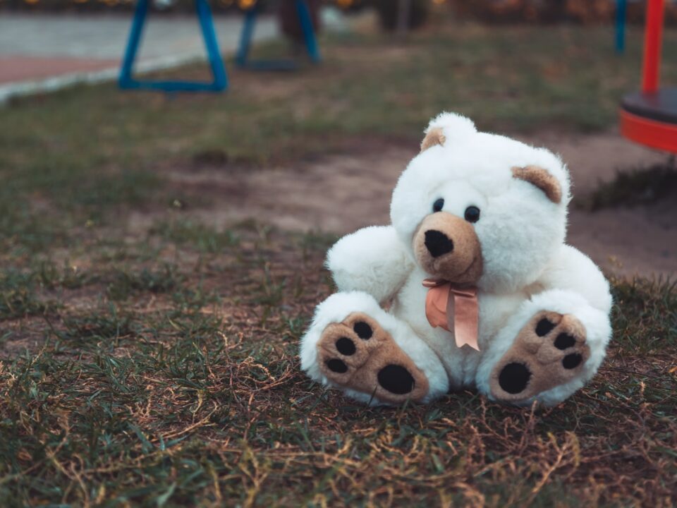 white and brown bear plush toy on grass