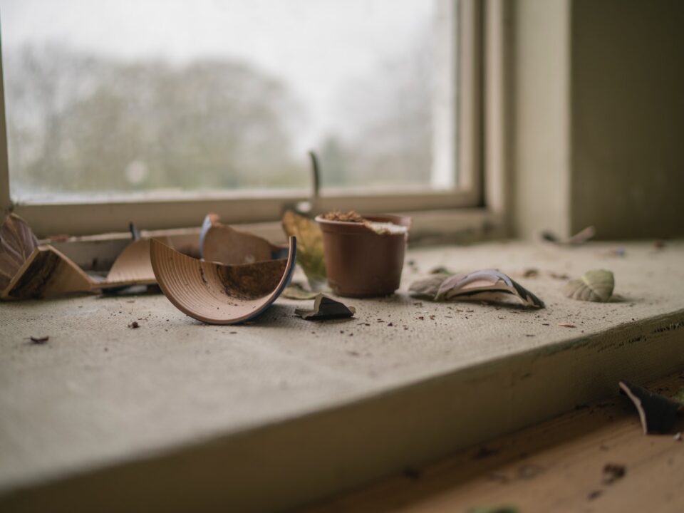 broken pot near mirror