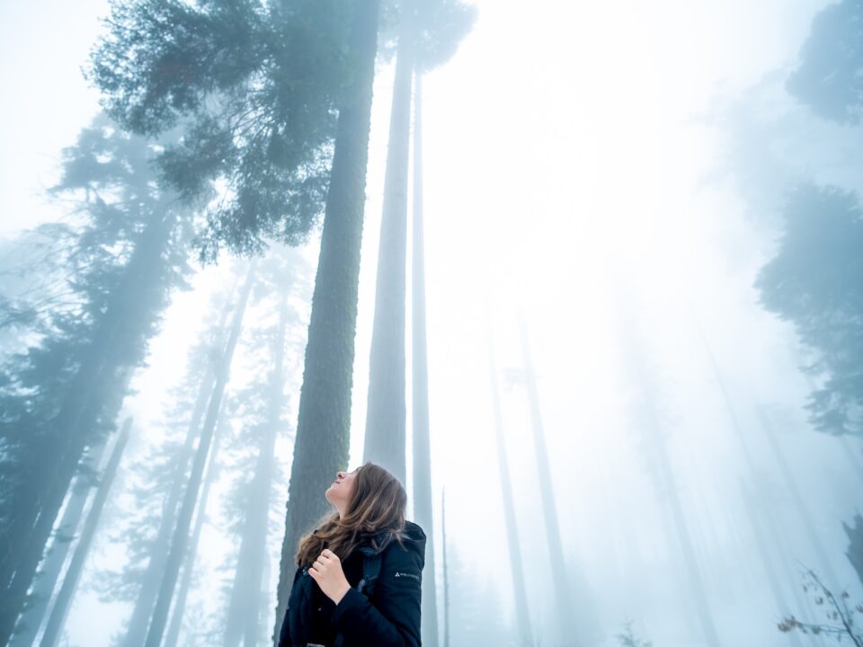 woman in forest