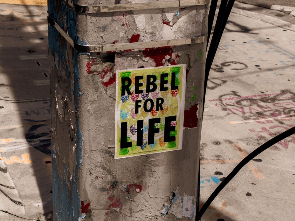 a sign on a pole that says rebel for life