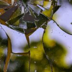 a group of water droplets