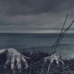 closeup photo of person's hand