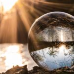 clear glass ball on brown dried leaves