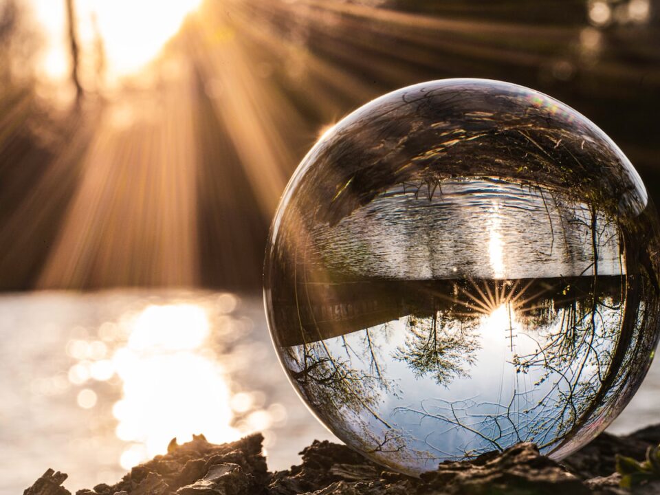 clear glass ball on brown dried leaves