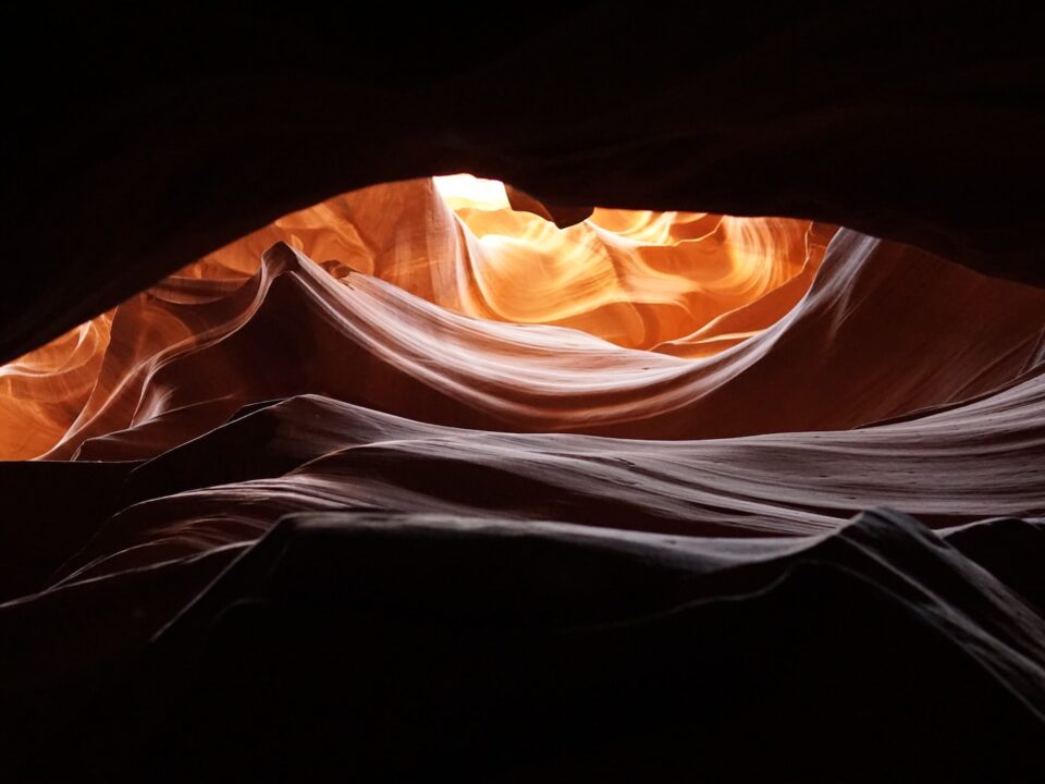 photography of antelope