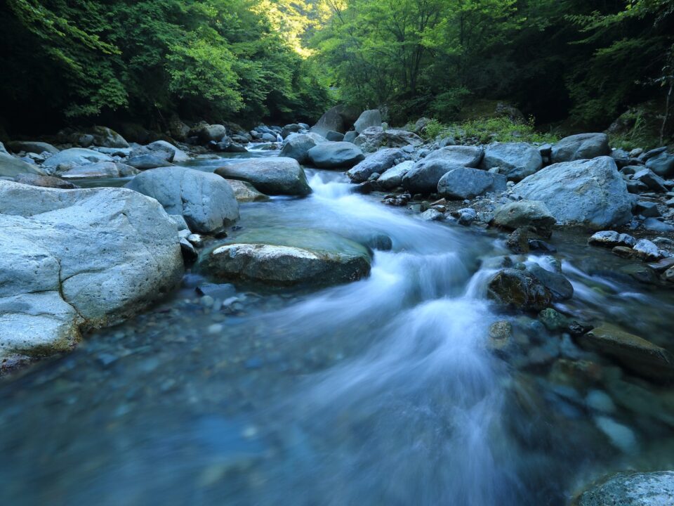 body river surrounded by dress