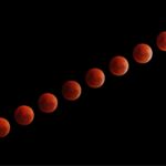 eight blood moon illustrations