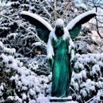 green bird on tree branch covered with snow