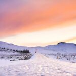 snow covered field during golden hour