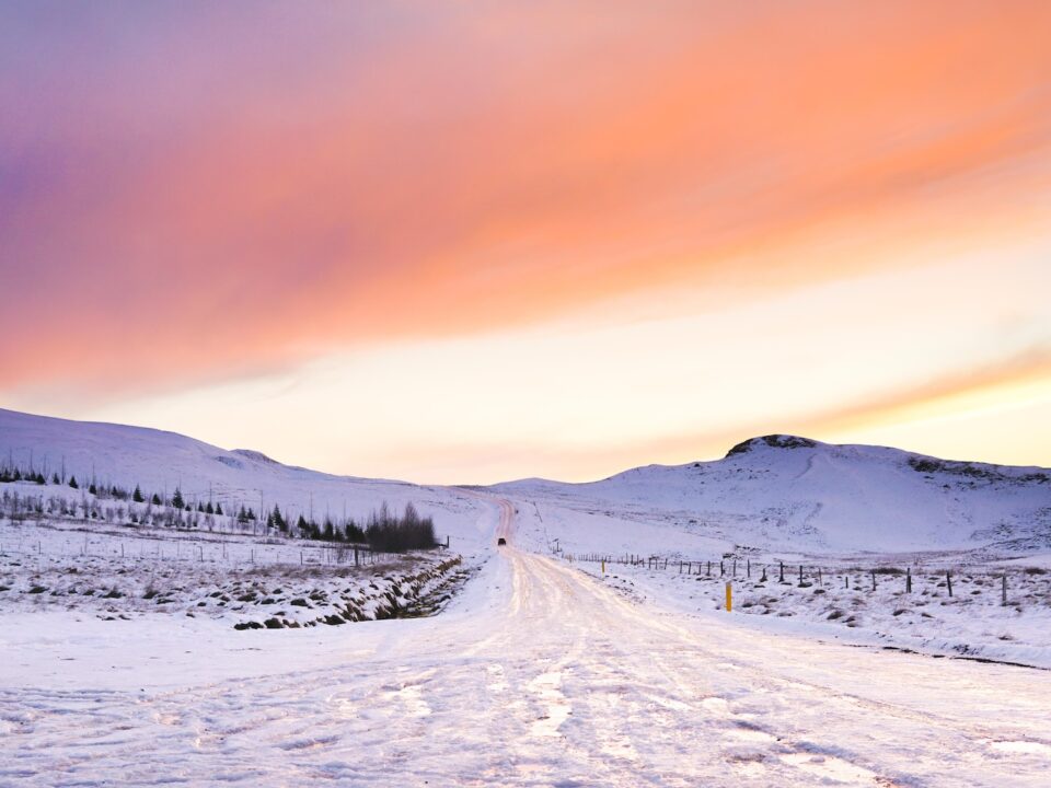 snow covered field during golden hour