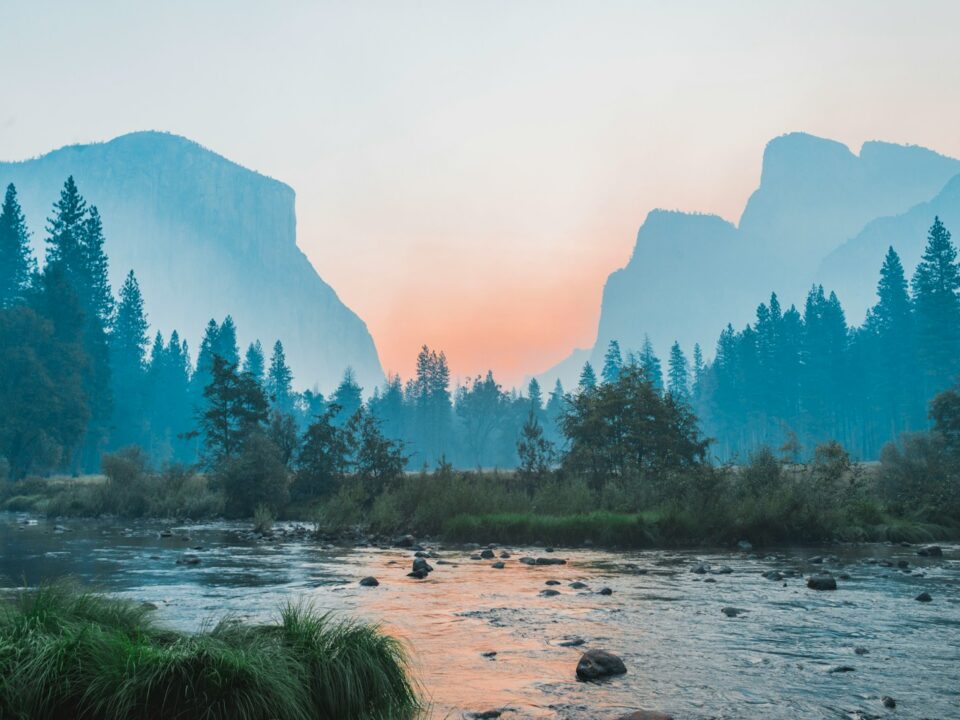 body of water surrounded by trees