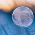 perspective photography of leaf