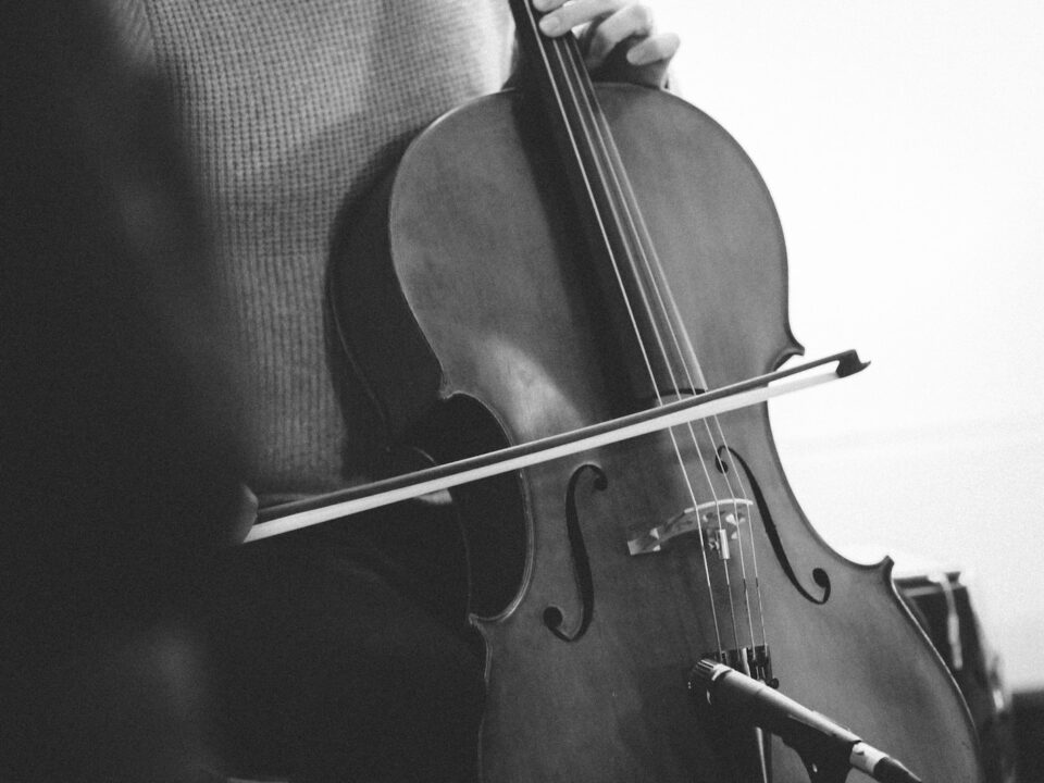 brown violin on black textile