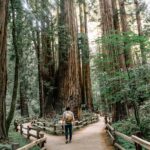 man wearing gray T-shirt standing on forest