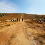 three men walking on valley during daytime
