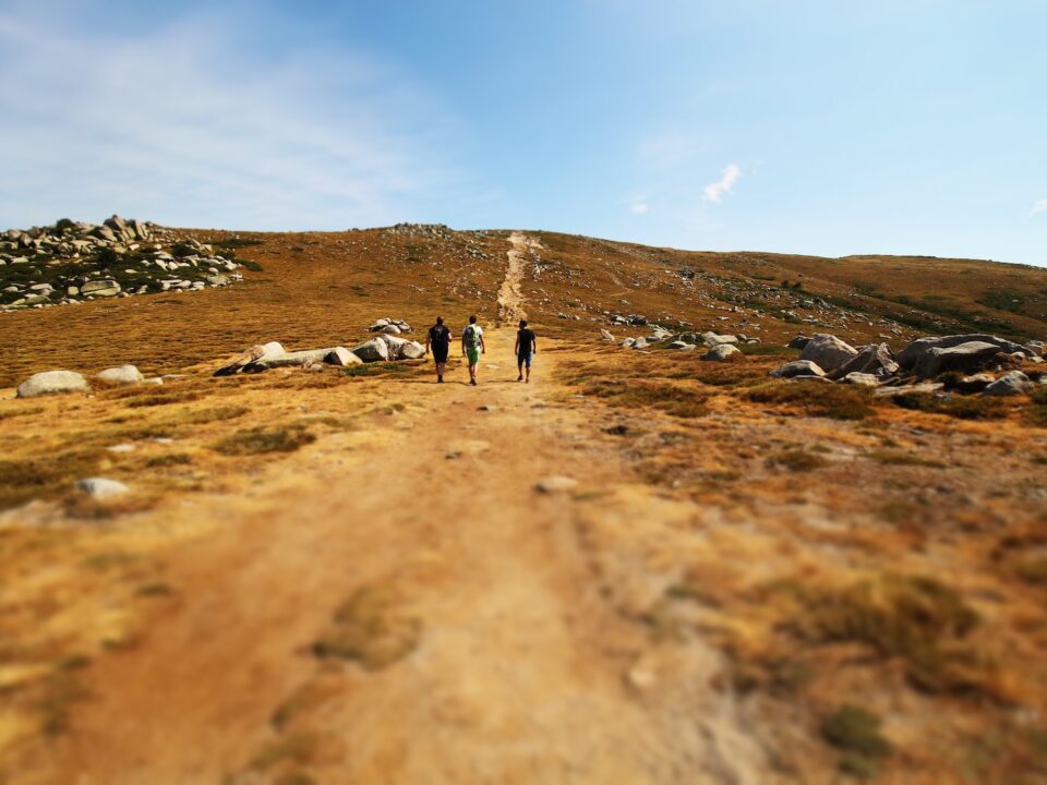 three men walking on valley during daytime