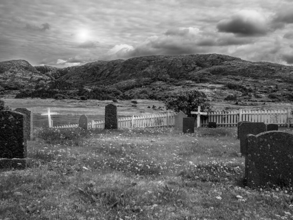 grayscale photo of wooden fence on grass field