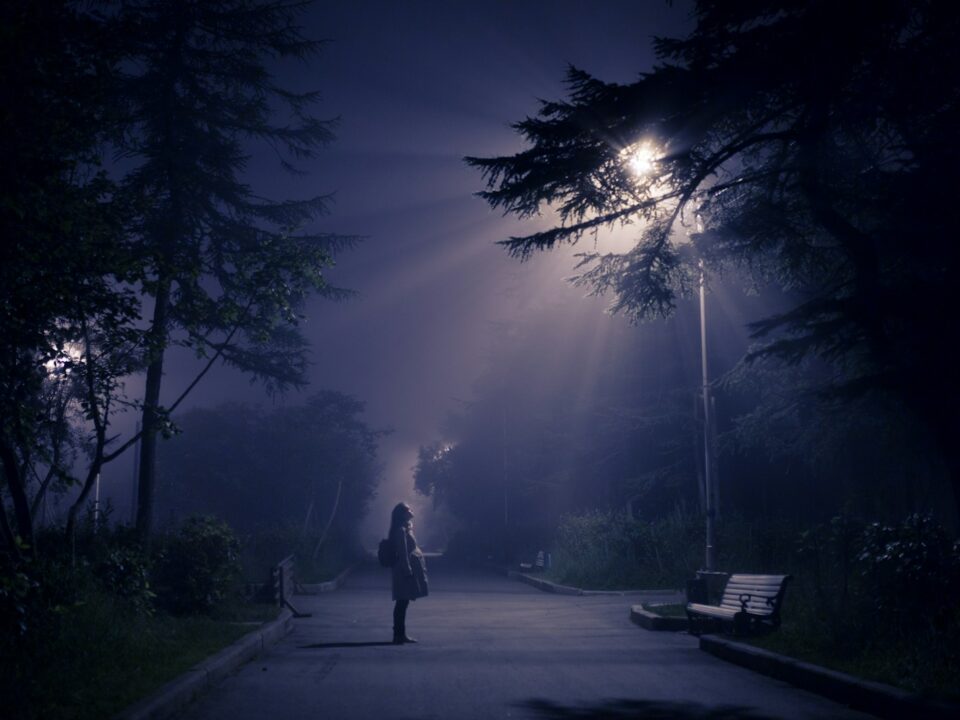 person looking at street lamp