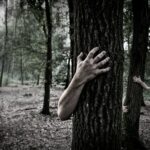 person hugging tree