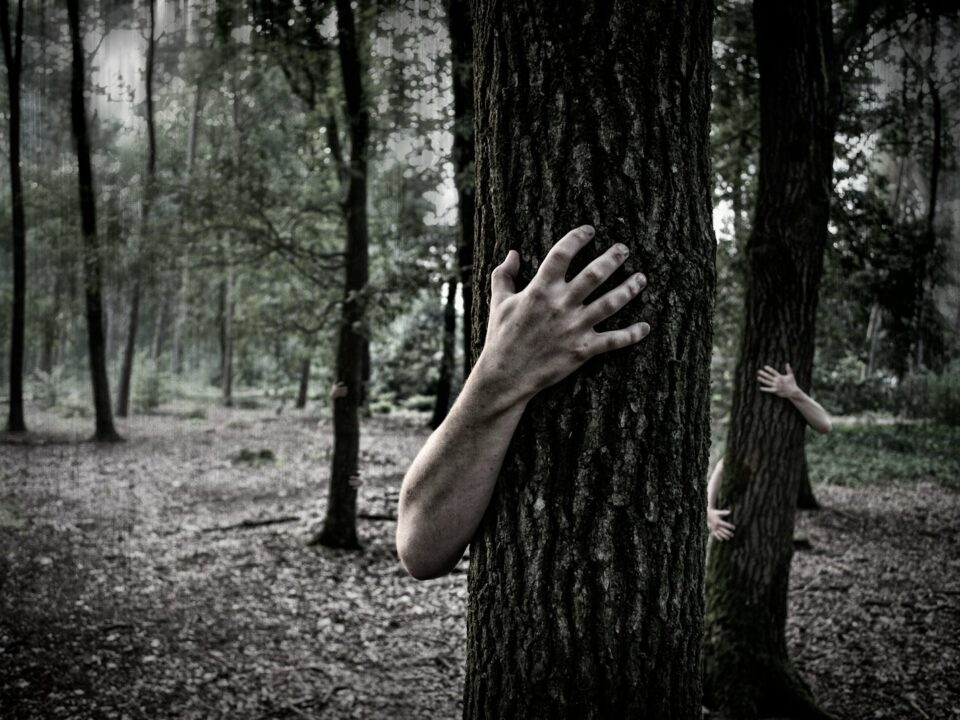 person hugging tree