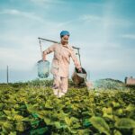 woman watering plants