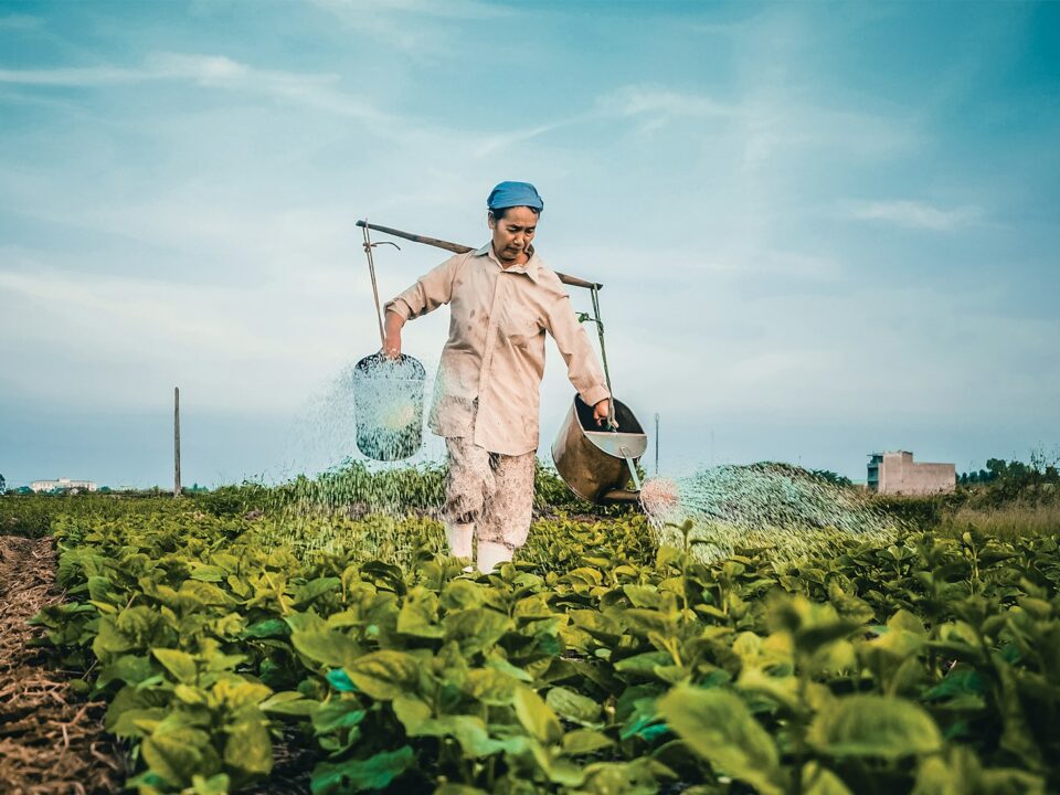 woman watering plants