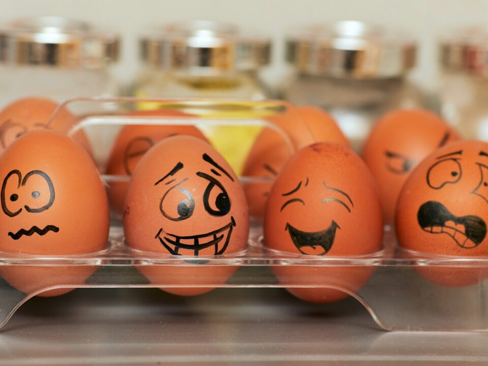 orange and white plastic egg toy