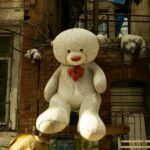 A Stuffed Animal Hanged on a Wall