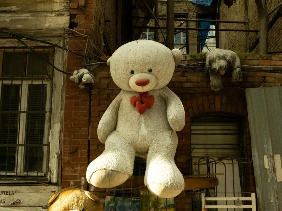 A Stuffed Animal Hanged on a Wall