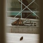 woman lying on floor near window
