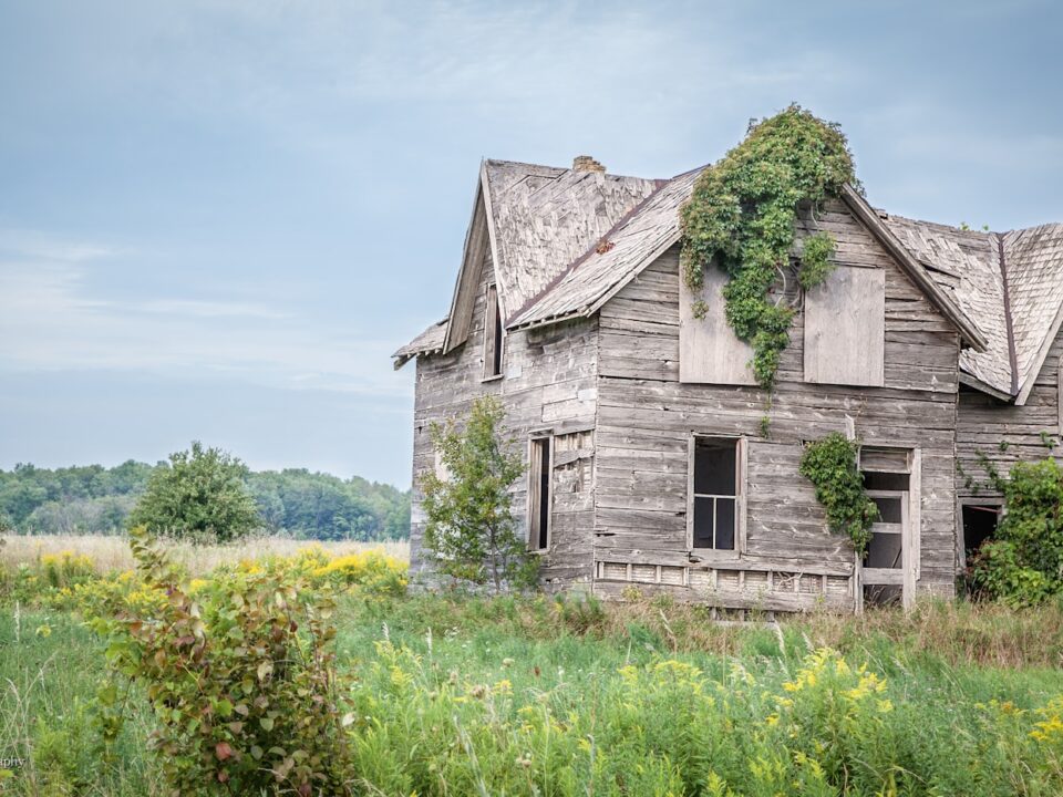 grey wooden house on green grass field during daytime