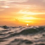 shallow focus photography of body of water during sunset