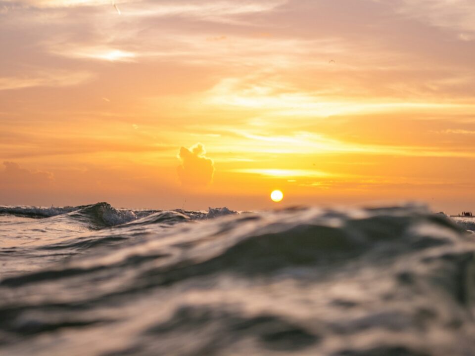 shallow focus photography of body of water during sunset