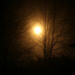 a foggy night with a street light in the distance