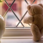 brown bear plush toy on window