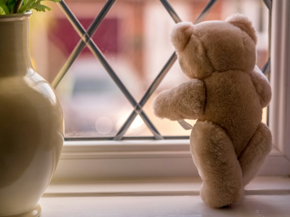 brown bear plush toy on window