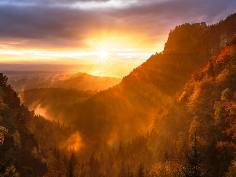 mountains and tree range during golden hour