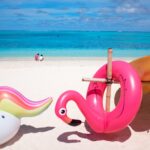 pink flamingo floater in front ocean
