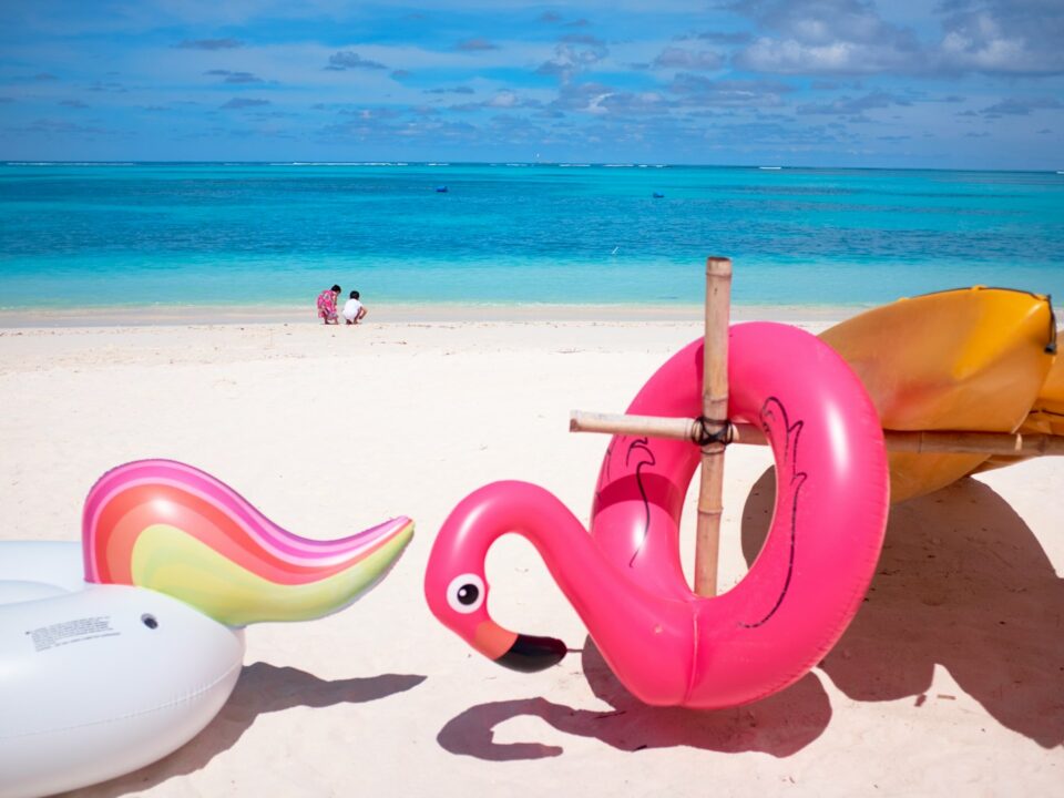 pink flamingo floater in front ocean
