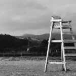 grayscale photo of wooden ladder on field