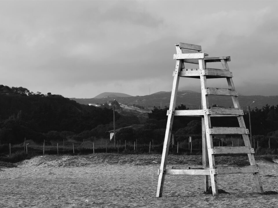 grayscale photo of wooden ladder on field