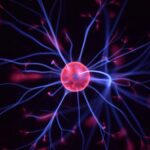 a close up of a red flower