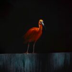 a large bird standing on top of a cement wall
