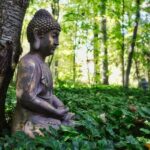 shallow focus photo of Gautama Buddha figurine