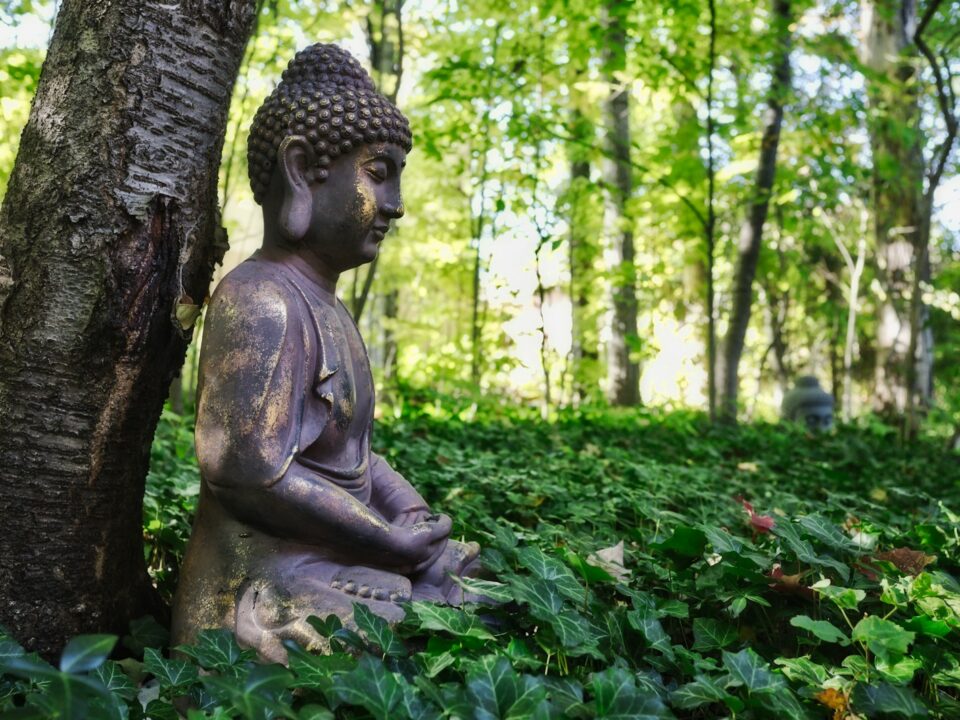 shallow focus photo of Gautama Buddha figurine