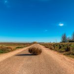 tumbleweed in the middle of the road between field during day